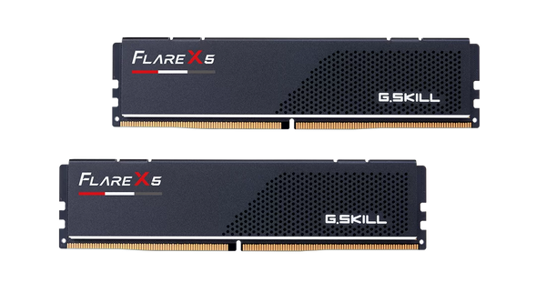 G.SKILL 32GB Kit (2x16GB) Flare X5 F5-6000J3038F16GX2-FX5 DDR5 6000MHz Memory AMD EXPO