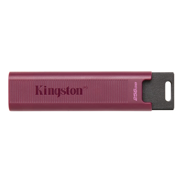 Kingston 256GB DataTraveler Max DTMAXA/256GB USB 3.2 Gen 2 隨身碟