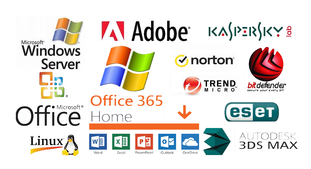 Software 軟件