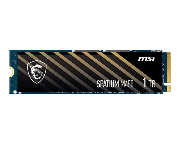 MSI 1TB SPATIUM M450 PCIe 4.0 NVMe M.2 SSD HD-M4501TV