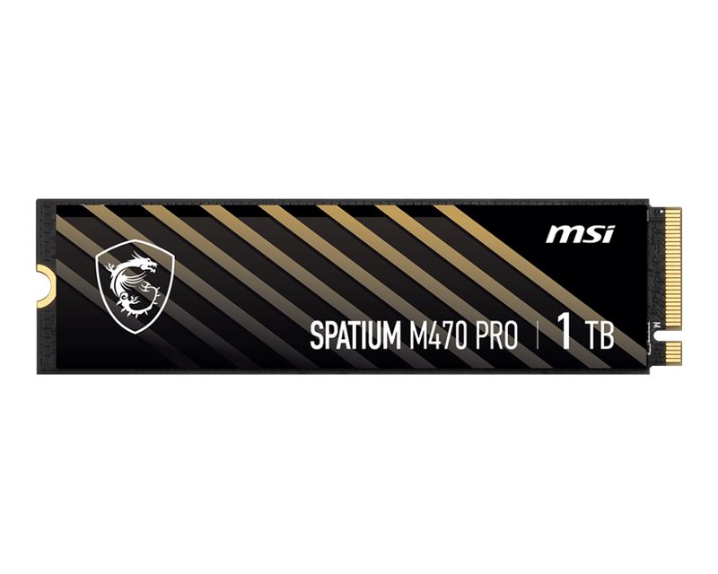MSI 1TB SPATIUM M470 Pro PCIe Gen4x4 NVMe M.2 SSD (HD-M470P1T)