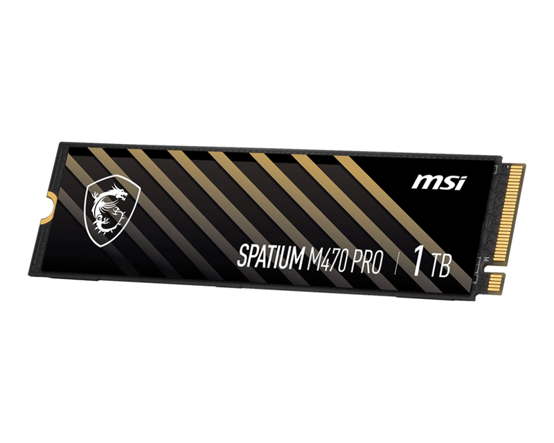 MSI 1TB SPATIUM M470 Pro PCIe Gen4x4 NVMe M.2 SSD (HD-M470P1T)