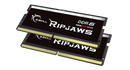 G.SKILL DDR5 SODIMM Ripjaws 32GB Kit (2x16GB) DDR5 5600MHz F5-5600S4040A16GX2-RS Memory (Intel XMP 3.0)
