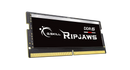 G.SKILL DDR5 SODIMM Ripjaws 32GB (1x32GB) DDR5 5600MHz F5-5600S4040A32GX1-RS Memory (Intel XMP 3.0)