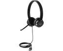 Lenovo 100 Stereo USB Headset 4XD0X88524