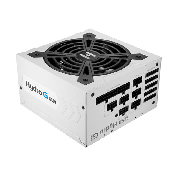 FSP 1000W Hydro G PRO 白色 ATX3.0 (PCIe5.0) 80Plus Gold Full Modular Power Supply (FSP-HG2-1000 GEN5 WT)