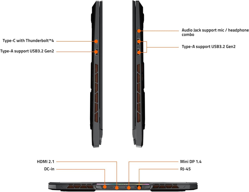 Gigabyte AORUS 17X AXG 2024 /17.3 QHD 240Hz/RTX 4080/i9-14900HX/DDR5 5600 16GB*2/Gen4 1TB+Gen4 1TB/Win11 Home (AORUS 17X AXG-64HK665CH)