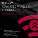 CHERRY MX 3.0S Wireless RGB 黑色 無線機械式鍵盤 (靜音紅軸) G80-3872LWAEU-2 *送CHERRY MW2400無線滑鼠