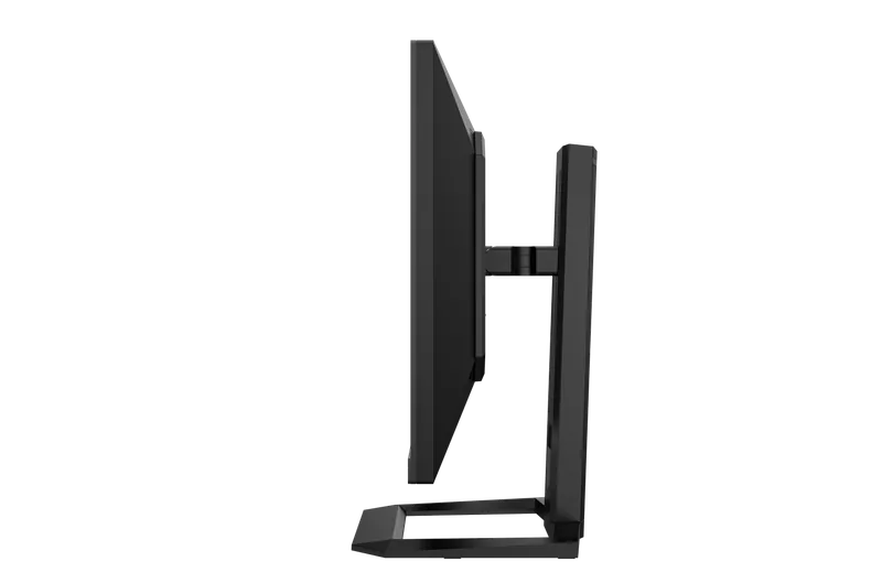 TITANARMY 24.5" P2510-H PRO 300Hz FHD Fast IPS (16:9) 電競顯示器 (MO-TP2510P)