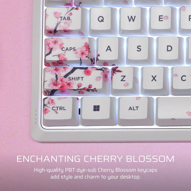 Corsair K70 CORE SE RGB Mechanical Gaming Keyboard with Palm Rest (Cherry MLX Red Switch) Cherry Blossom 櫻花色 CH-9109C1E-NA