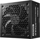 ENERMAX REVOLUTION ATX3.0 PCIE 5.0 1200W 80 PLUS Gold Fully Modular Power Supply (PS-ERA1K2)