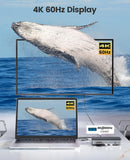 ORICO 10-in-1 USB-C Docking Station, 10Gbps USB 3.2 Gen2 M.2 NVMe/SATA SSD Reader, Support 4K@60Hz HDMI, 100W PD, SD/TF, Ethernet [DPM2P9-V1-BK-BP]