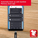 SanDisk 64GB Ultra Go Flash Drive 隨身碟 (USB 3.2 Gen 1 150MB/s) SDDDC3-064G-G46 772-4283