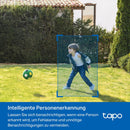 TP-Link Tapo C410 KIT Solar-Powered Security Camera Kit 智慧無線電池安全攝影機套件