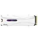 Biwin 2TB Black Opal X570H PRO w/Heatsink BX570DH02TB-RGX M.2 2280 PCIe Gen5x4 SSD (HD-BX57H2T)