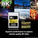 Lexar GOLD Series 80GB Professional CFexpress™ Type A Card (up to 900MB/s read, 800MB/s write) LCAGOLD080G-RNENG