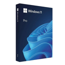 English Microsoft WINDOWS 11 Pro USB BOX HAV-00163