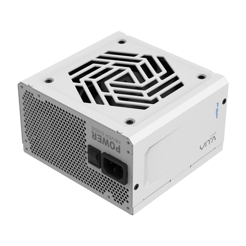 FSP VITA GM 850W WHITE White ATX3.1 PCI-E 5.1 ​​12V-2x6 80 Plus Gold Fully Modular Power Supply VITA-850GM WT 
