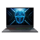 Thunderobot R16 電競 AI 手提電腦 (Intel Core i9-13900HX / NVIDIA Geforce RTX5080 16GB GDDR7 / 16" 2K QHD 300Hz / IPS panel / DDR5 16GB / 1TB SSD / Windows 11 Pro) NB-T9F00J