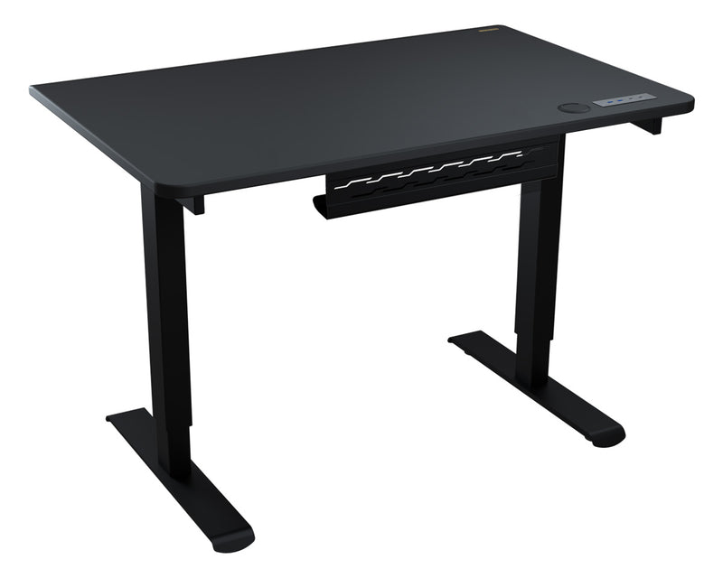 Cougar Royal 120 Elite-Black (Black) Professional Electric Lift Desk (Direct Delivery from Agent) (Installation Included) 