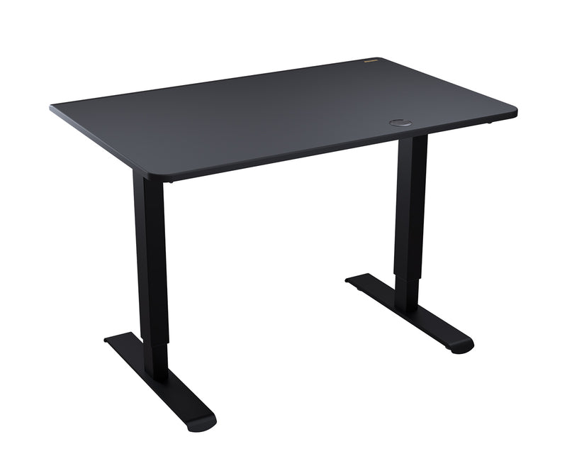 Cougar Royal 120 Pure-Black (Black) Professional Electric Lift Desk (Direct Delivery from Agent) (Installation Included) 