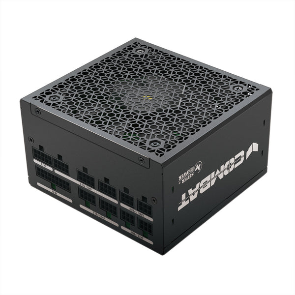 Super Flower Combat FG Gold 650W ATX 3.1 80 Plus 金牌認證全模組化 Full Modular Power Supply (SF-650C12FG) 10年保養