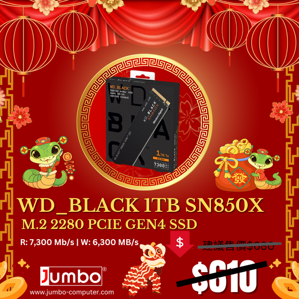 JUMBO COMPUTER SUPPLIES JUMBO COMPUTER