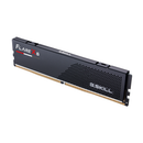 RAM001728 F5-6000J3038F16GH1-FX5 02 前斜角 A