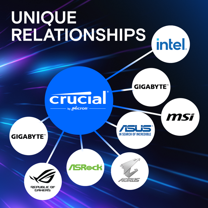 Crucial Pro 48GB Kit (2x24GB) Overclocking Black DDR5-6000 UDIMM CP2K24G60C48U5 (AMD EXPO &amp; Intel XMP 3.0) 