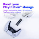 Crucial 1TB P310 CT1000P310SSD5 w/Heatsink PCIe Gen4 NVMe 2280 M.2 SSD (HD-CP31H1T)