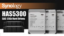 Synology 12TB HAS5300-12T Enterprise 3.5" SAS 12Gb/s 7200rpm 256MB Cache HDD