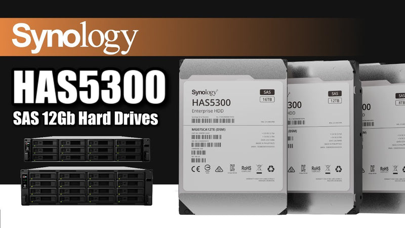 Synology 12TB HAS5300-12T Enterprise 3.5" SAS 12Gb/s 7200rpm 256MB Cache HDD