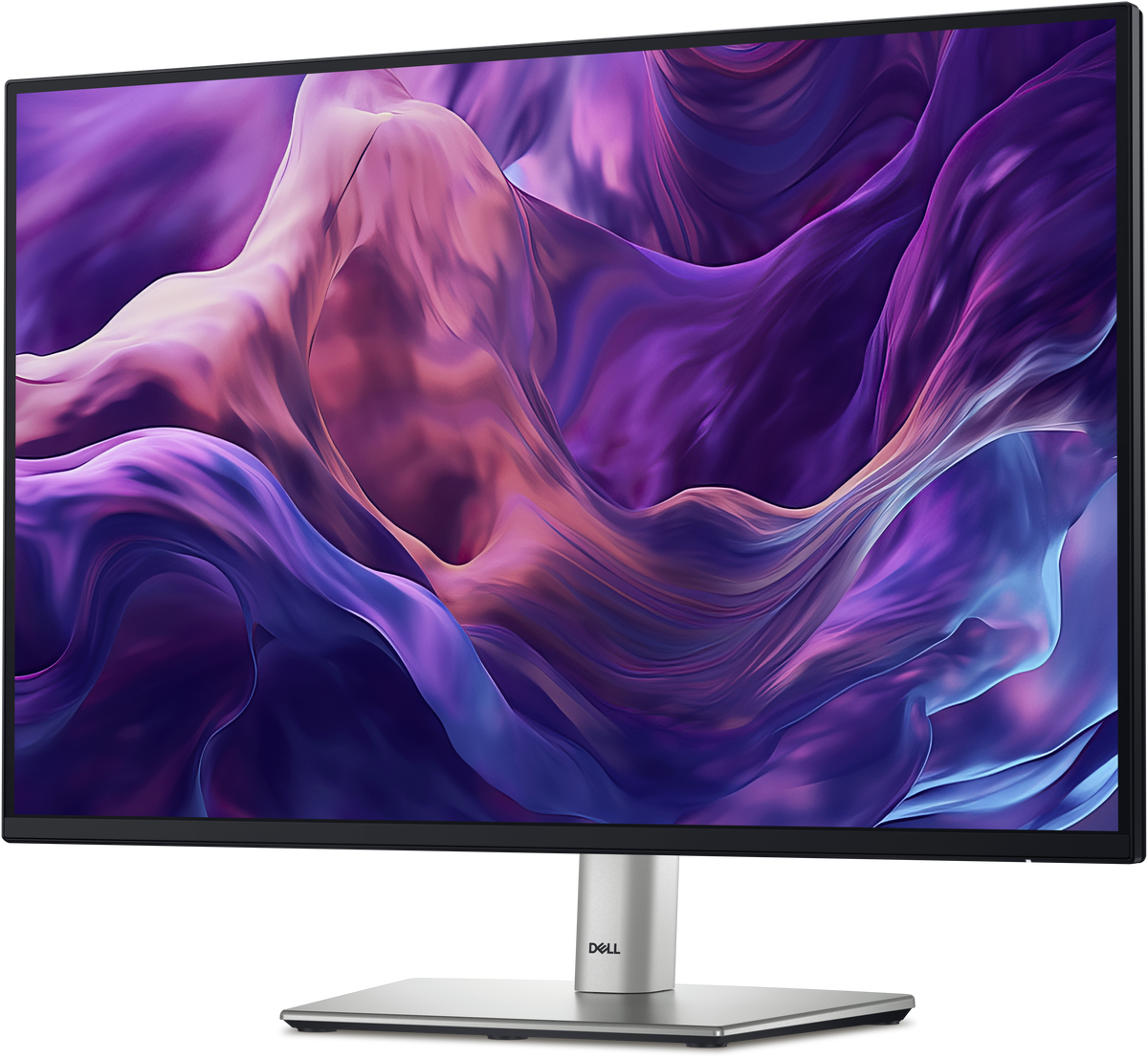 DELL 24